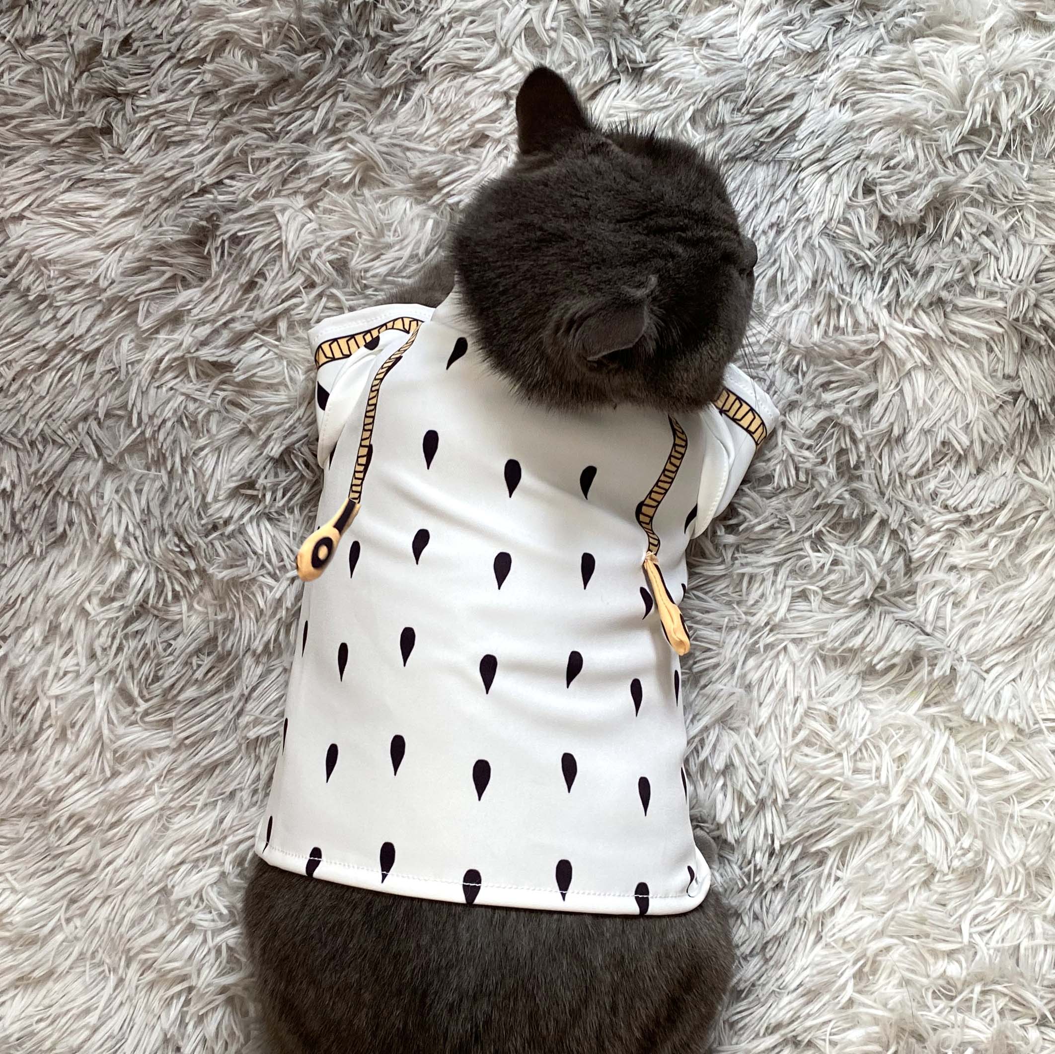 JoJo/'s Bizarre Adventure Bruno Cosplay Small Dog Cat Clothes Pet Costume Track