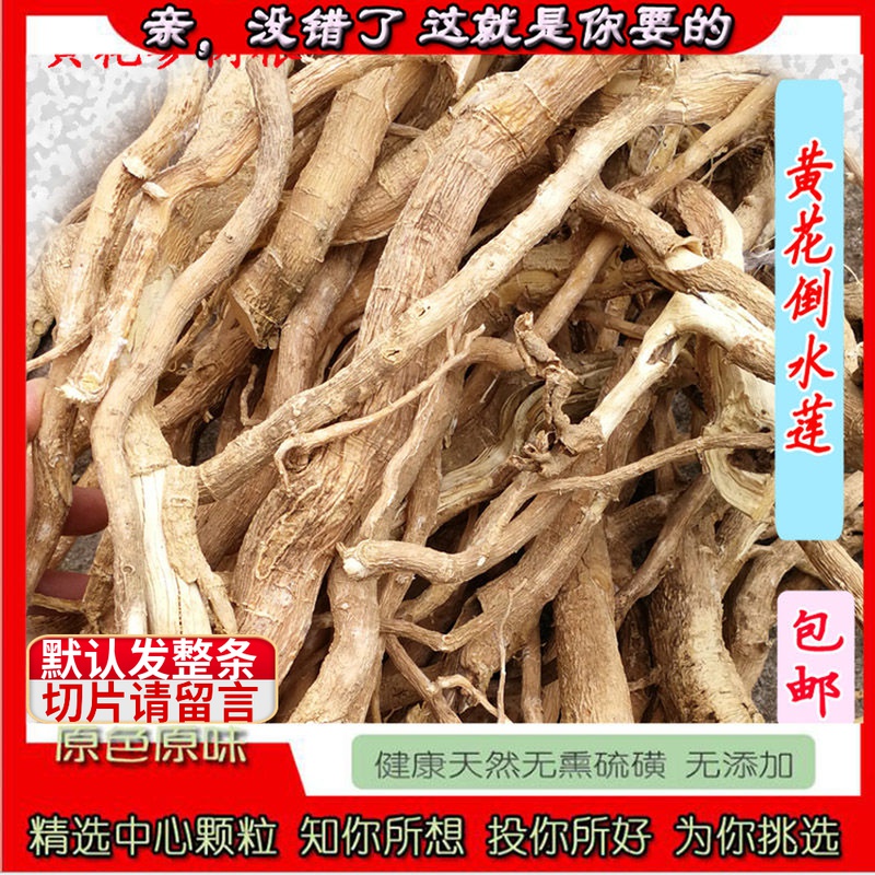Guangxi wild yellow flower pouring water lotus Chinese herbal medicine Guanyin string confinement tea upside down yellow flower ginseng soup Dayuanzhi slice