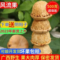 Wind flow Fruit Guangxi Wild Turtle head Geranium Stone Fruits Male soak in Yin and Yang Double Kidney Seeds