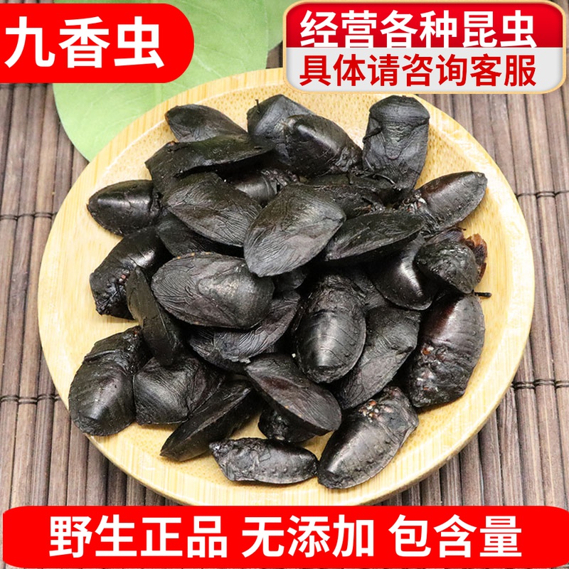 Nine incense worms Chinese medicinal herbs, farting bugs, bed bugs, farting bugs, dung beetles, non-wild sale, big tianlong dried