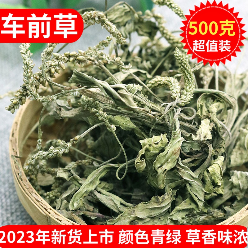 New goods Plantain Herb Whole Grass Chinese Herbal Medicine Wild Plantain Tea Dry 500g washed freshly sold former seed money grass-Taobao
