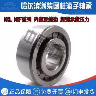 Full cylindrical roller bearings NCF2204 2205 2206 2207 2208 2209 2210 2211 V