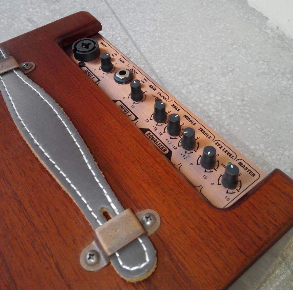 Li Sheng LSM FreeMan100 âm thanh gốc dân gian cao cấp âm thanh guitar guitar nhạc cụ âm thanh loa - Loa loa loa koda