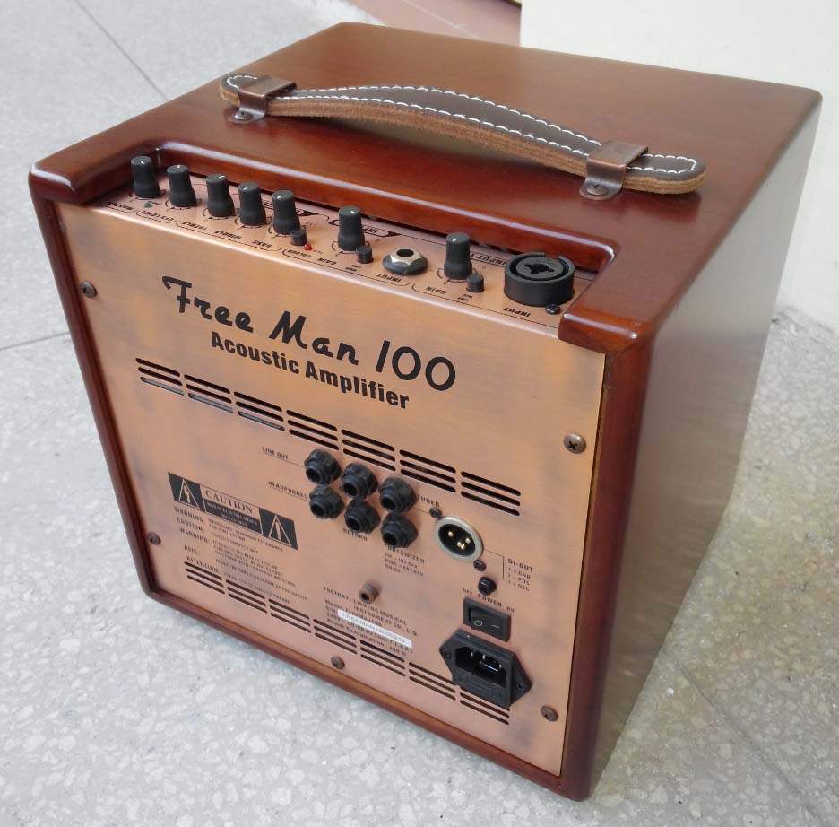 Li Sheng LSM FreeMan100 âm thanh gốc dân gian cao cấp âm thanh guitar guitar nhạc cụ âm thanh loa - Loa loa loa koda