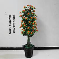 Fortune tree kumquat plastic bonsai hawthorn tree indoor living room floor-to-ceiling large-scale plant potted decorative green plants