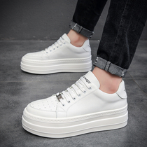 2022 Summer sports leisure sneakers mens shoes white thick soles pine shoes and inner plate increase small white shoes