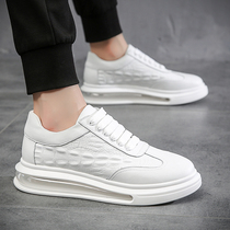 European station summer sports leisure shoes mens shoes breathable white shoes crocodile line tide shoes