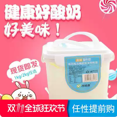 Bucket of Western Spring Yogurt Bucket Xinjiang Old Yogurt 2 Jin 4 Jin Fruit Oatmeal Partner Ice Cream Whole Box