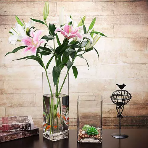 Bình thủy tinh trong suốt màu xanh lá cây thủy canh cây hoa thủy tinh chai vuông vuông thủy canh chậu hoa khô bình hoa - Vase / Bồn hoa & Kệ
