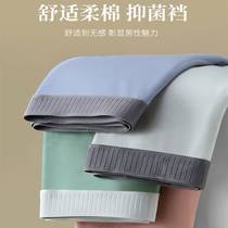 Autumn and winter mens underwear pure cotton graphene antibacterial mid-waist solid color explosive style mens breathable simple boxer pants