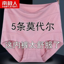 Antarctica 3 4 Modale panties ladys pants high waist lady pants large 200 pounds middle and elderly