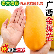 Guangxi Jinhuang mango box 9 pounds freshly picked seasonal tropical fruit with thin skin small core sweet and juicy 5