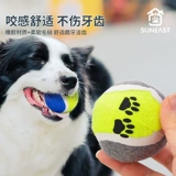 Игрушка для собак, укусовые теннисные щенки, пастырь золотые волосы, плюшевые щенки щенки домашние животные моляры, поставки самообеспечения