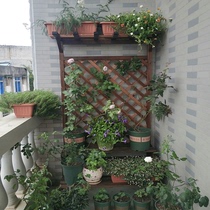  Anticorrosive wood balcony flower rack Floor-to-ceiling multi-layer stepped flower rack Indoor living room solid wood grid storage flower pot rack