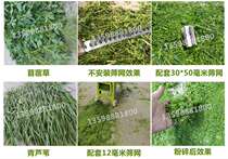 Shaanxi Xian diesel straw grinder Grass cutting machine Cattle and sheep grass shredder Chicken farm automatic manure cleaning machine