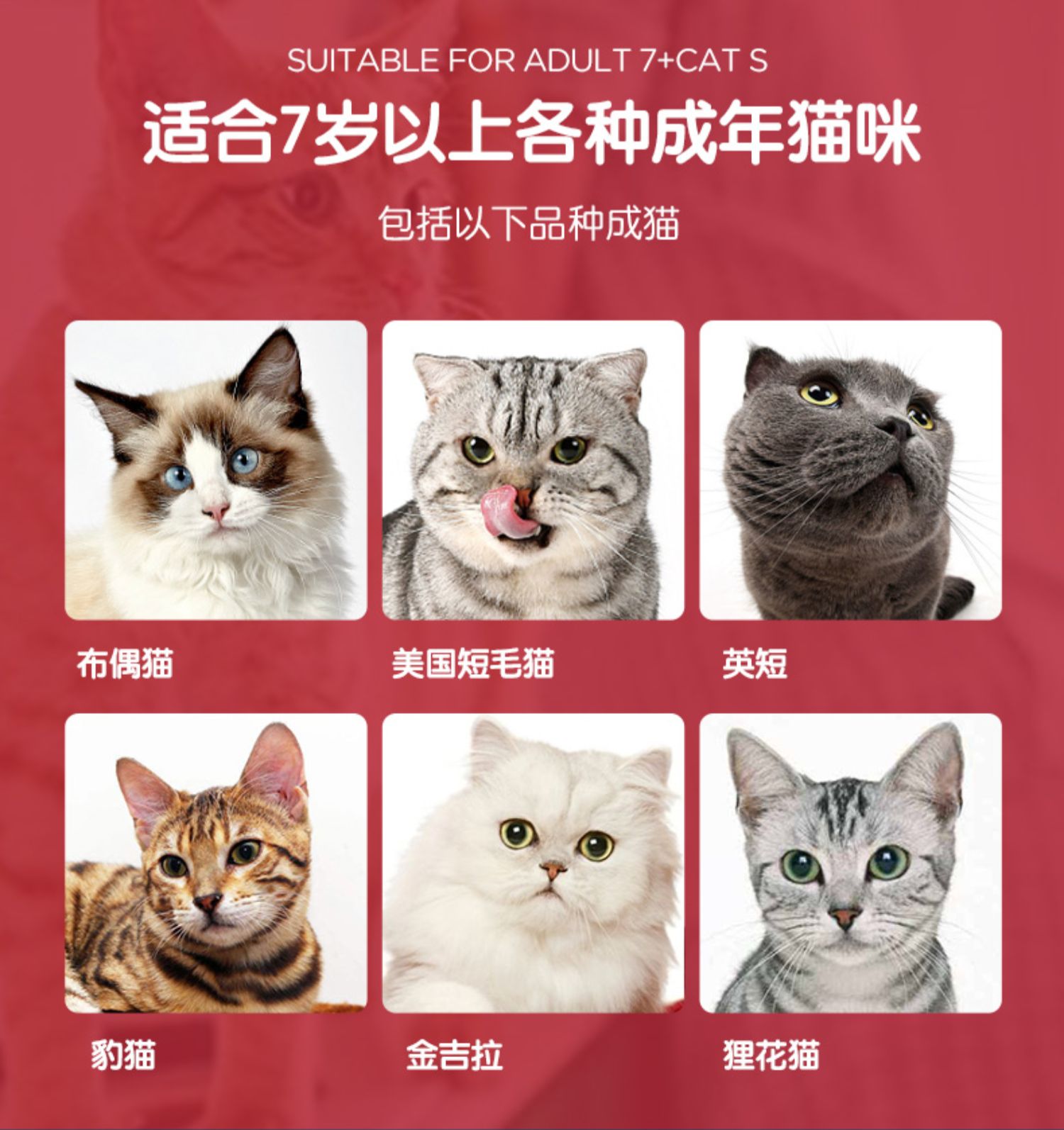 Hills Hills Old Cat Mỹ Gà nhập khẩu Mèo trưởng thành Thức ăn chính Sức sống của mèo Thức ăn 6 lbs / 2,72kg - Cat Staples hạt royal canin kitten