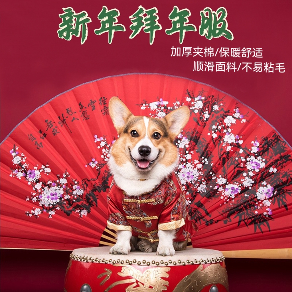 Pet Autumn Winter Warm Thickening Clothes Dogs Tangy Cotton Clothes Wedding Gown Wedding Gokibe Bears to the Year Conqueror