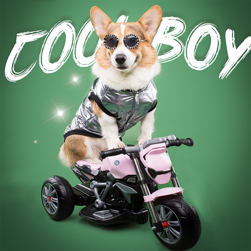 Pooch Pets Autumn Winter Down Clothing Leather Clothing Warm Cotton Clothing Windproof waterproof sleeveless clothes Kirkifa bullfight Bears