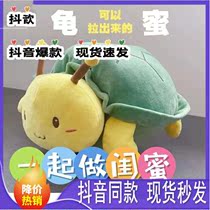 Turtle Honey Doll Pillow Doll Doll Creative Plush Toy Turtle Bee Send Girlfriend Gift Youqu Youpin