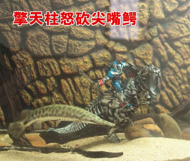 Transformers Movie 4 Hornet trôi Optimus Prime Cáp thép Tyrannosaurus Tượng khủng long tay Mô hình đồ chơi - Gundam / Mech Model / Robot / Transformers