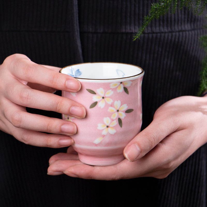 MinoYaki meinung burn imported from Japan jing ying, hand - made ceramic cup cup five times gift boxes