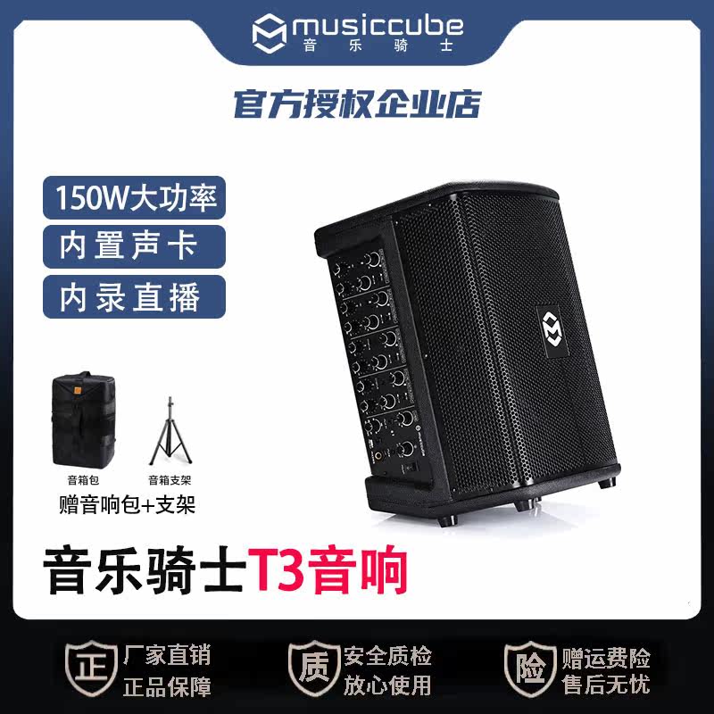 Music knight T3 musical instrument audio outdoor k song guitar saxophone street singing portable bluetooth live speaker