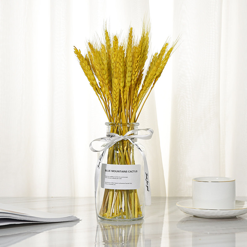 Gold barley Opening Gift Natural Wheat Ears Dry Bouquet Field Living Room Living-room Living-room Decoration Pendulum emulated flower vases flower vases