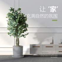 Nordic cement flowerpots round green plant Balcony Rectangular Minimalist Modern Living Room Floor Basin Delivery Trays Extra-large