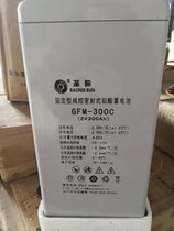 Shengyang battery GFMD-300C 2V300AH power plant DC screen marine solar energy warranty for three years