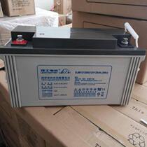 Leoch Li Shi battery 12V120AH DJM12120 DC screen UPS EPS communication power battery