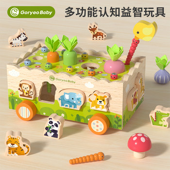 Montessori Early Education Shape Matching and Recognition Toy for Infants and Young Children, Carrot Pulling, Gender Recognition, Polyhedral Educational Toy for Boys and Girls