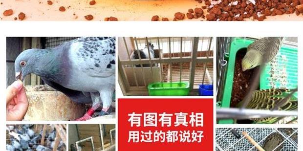 Thức ăn cho chim canxi cát cát đua chim bồ câu cung cấp cát chất lượng dinh dưỡng chim bồ câu cát sức khỏe cát đỏ vẹt cát - Chim & Chăm sóc chim Supplies lồng tắm chim