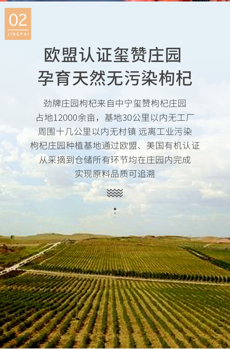 劲牌旗下 持正堂 正宗特级宁夏庄园枸杞 200g 图3