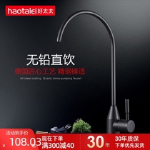 German kitchen water purifier 2-point faucet direct drink 304 stainless steel water purifier single cold black faucet