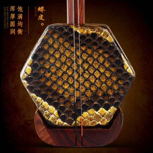 Профессиональные музыкальные инструменты, официальный флагманский магазин, прямые продажи с завода, подходит для начинающих