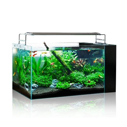 edx Рыба -аквариум с высокой точки зрения травы