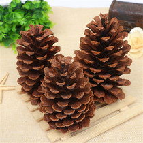 Natural dried pine cones handmade DIY dried flowers fruit tree branches ornaments props Songta kindergarten creative ring creative materials