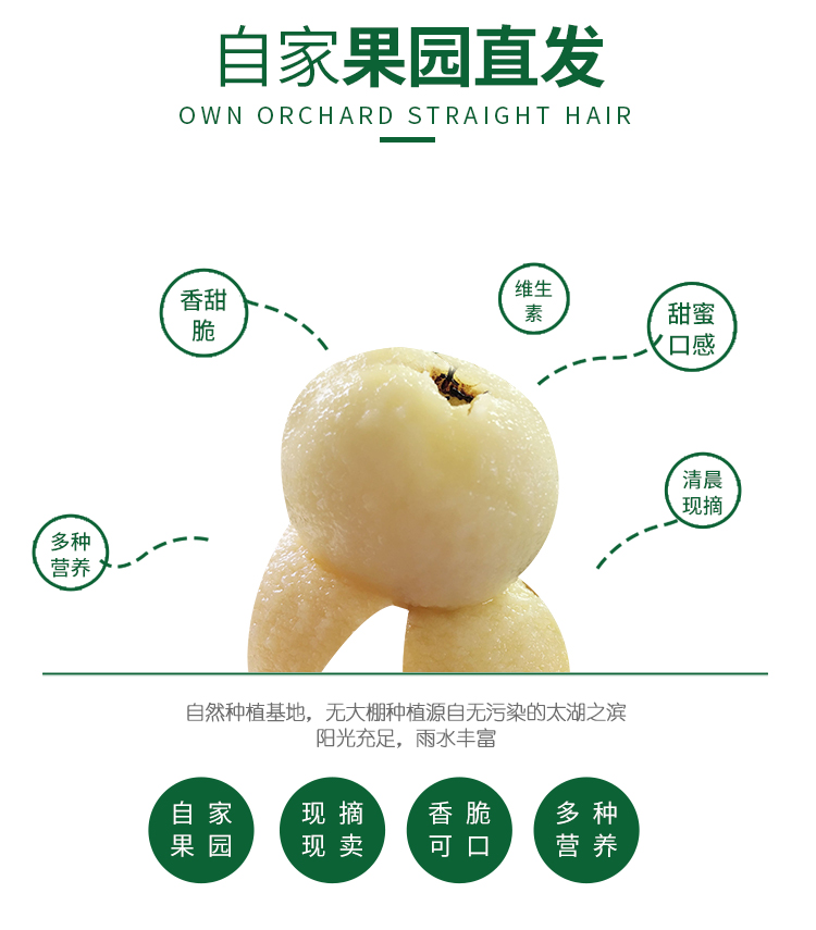 苏州东山 白玉白沙枇杷 5斤 图5