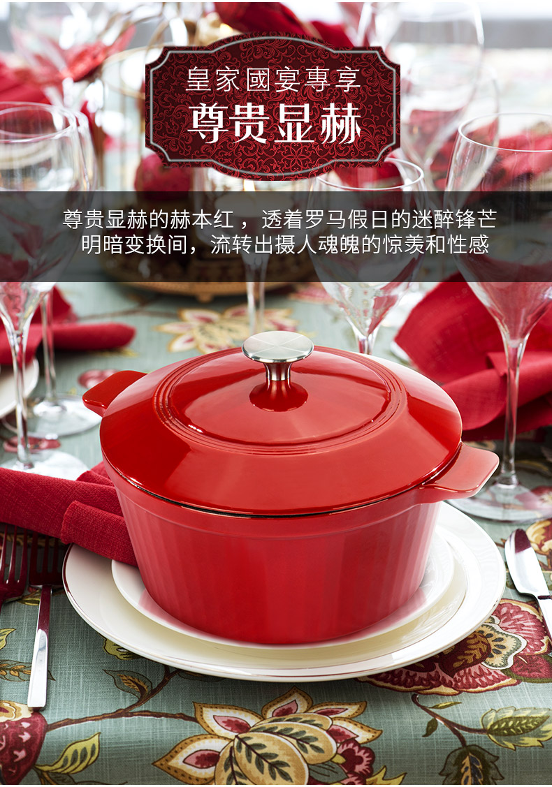 德国 韦诺森 Velosan 超高颜值 珐琅铸铁锅 24cm/3.8L 图5