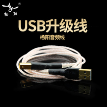YYAUDIO Yangyang 6N single crystal copper USB fever line HIFI decoder DAC USB data line connecting line