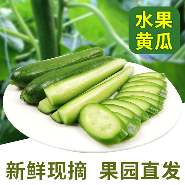 鲜本色 山东新鲜水果黄瓜 5斤 天猫优惠券折后￥17.9包邮（￥32.9-15）