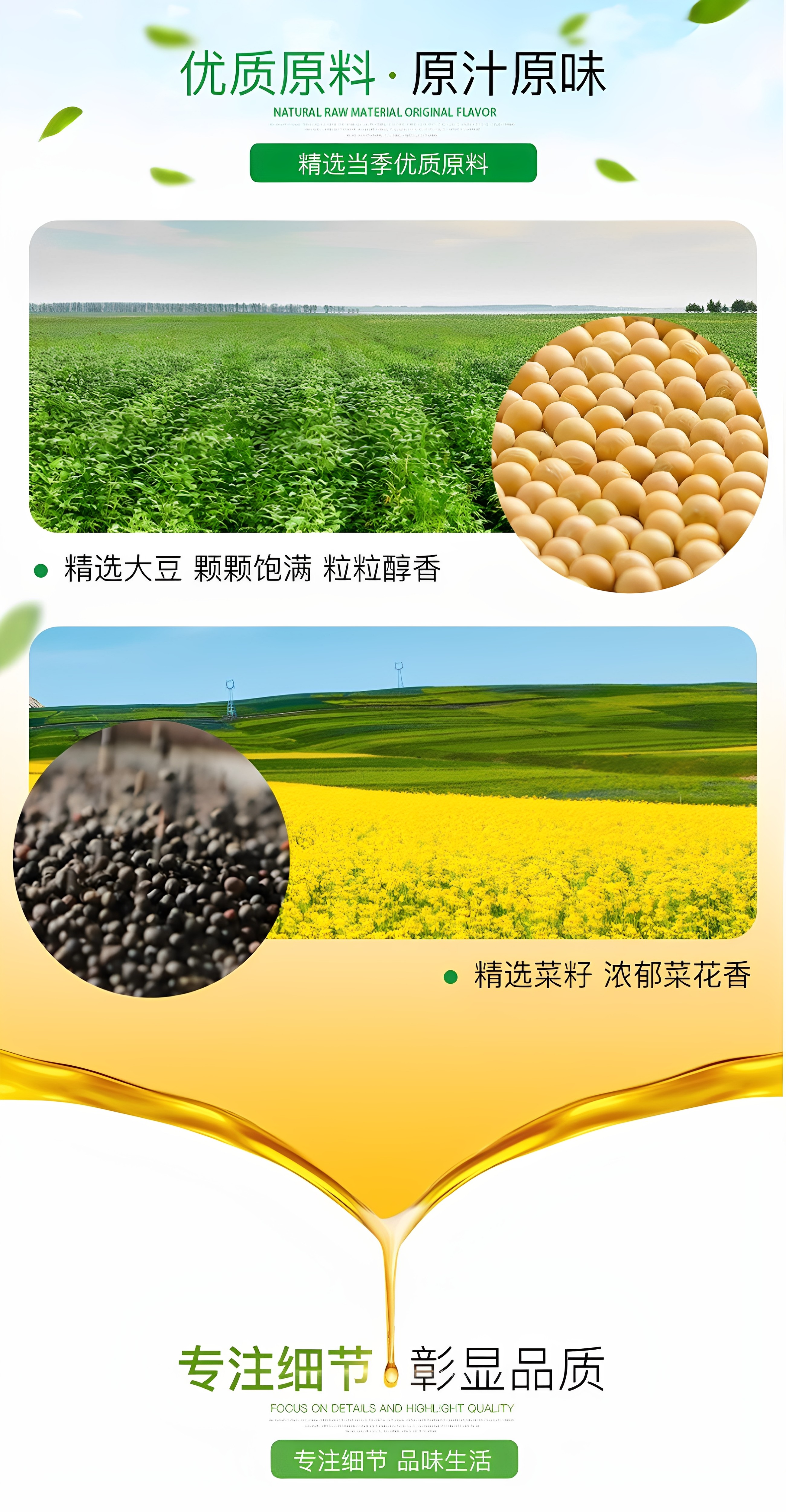安享好物 安享B级调和油-道道全菜籽纯香调和油 国标