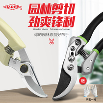 DAREX gardening branch Scissors Scissors artifact tools powerful garden flower scissors home labor-saving Fruit tree pruning shears