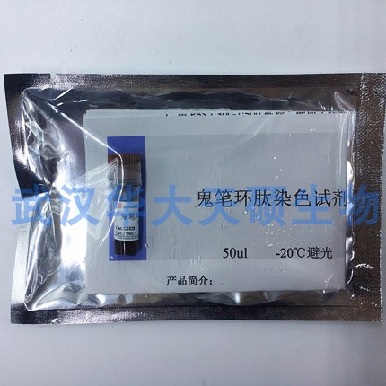 Servicebio 鬼笔环肽 绿光 G1028 鬼笔环肽染色试剂50ul 带票包邮