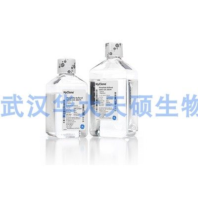 无菌PBS缓冲液 PBS磷酸盐缓冲液(1x) SH30256.01 500ml HyClone