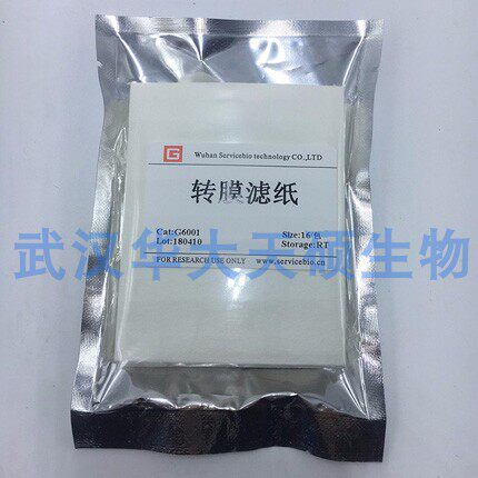 Servicebio厚转膜滤纸 薄50片7x9cmWB试验转膜时制作&ldquo;三明治&rdquo;结