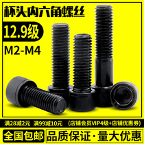 Hexagon socket head cap screw 12 Class 9 screw High strength cylindrical head bolt Black cup head extension screw M2M3M4