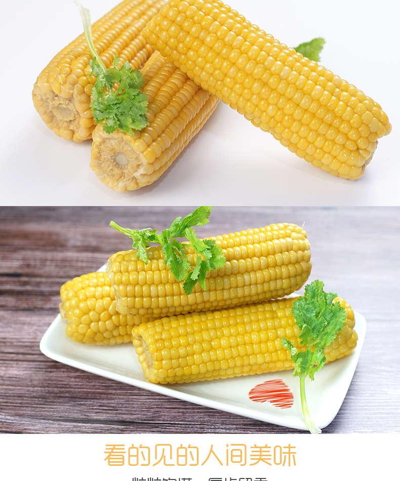 东北黑龙江甜糯玉米 10穗 图2