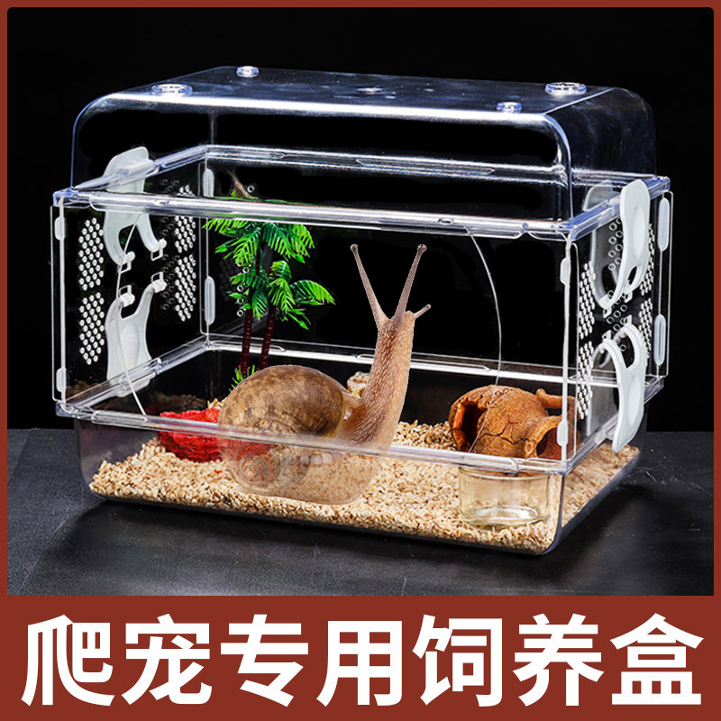 Acrylic snail feeding box to send soil mantis spider scorpion hermit crab gecko general crawling pet box