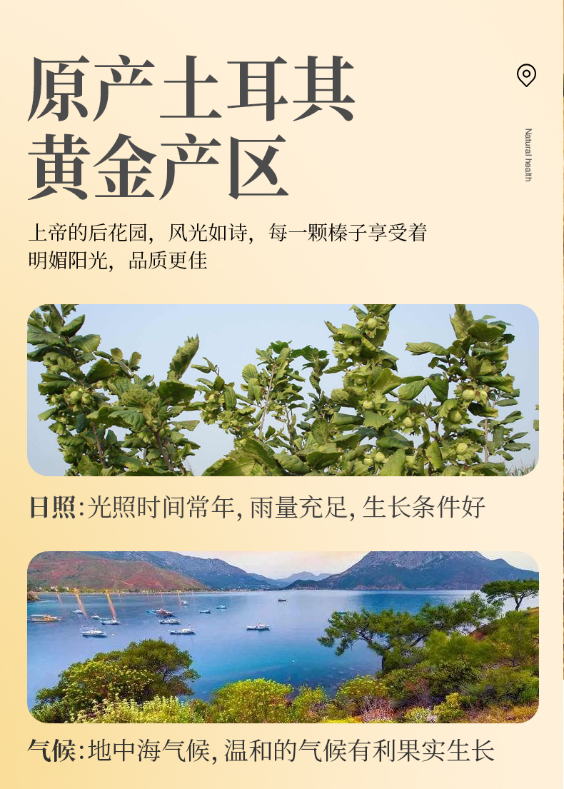 外果侠 榛子仁 原味土耳其 500g罐装 图4